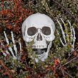 Életnagyságú csontváz 170cm Halloween dekoráció