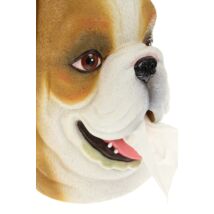 Zsebkendő adagoló bulldog