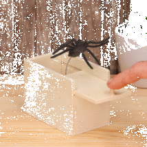 Tréfa doboz kiugró pókkal