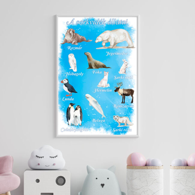 Sarkvidék állatai poszter, falikép, képkeret, plakát